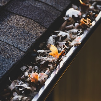 a group of bees on a wood surface