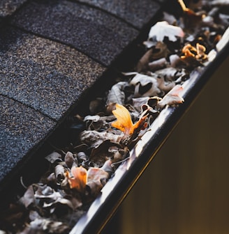 a group of bees on a wood surface