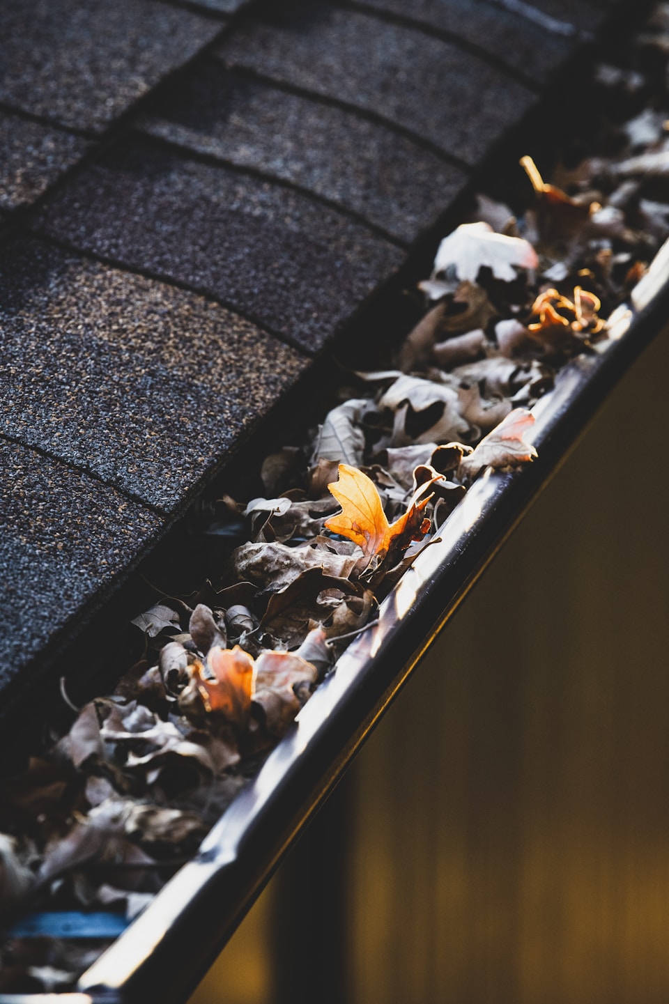 Gutter Cleaning in Cullman Alabama by Carpet Cleaning in Cullman Alabama