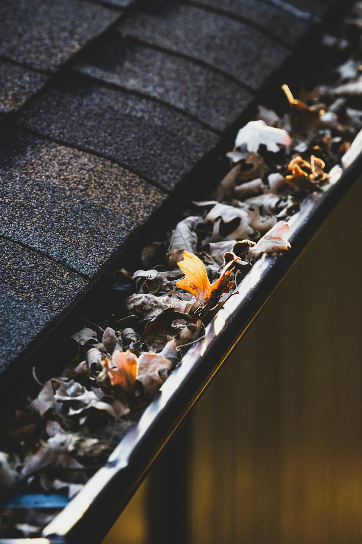 Gutter cleaning and maintenance image background image