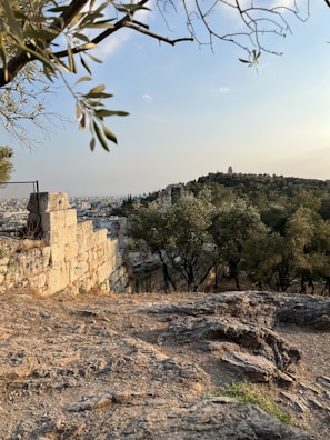 A scenic view of a Pokémon gym with trainers battling.