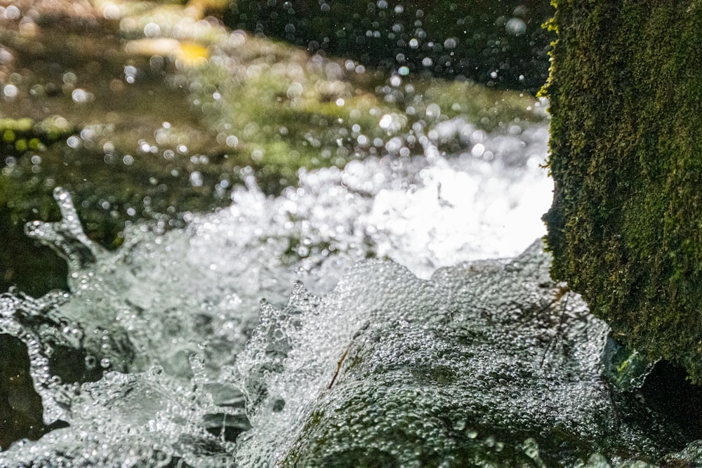 a close-up of water flowing over rocks