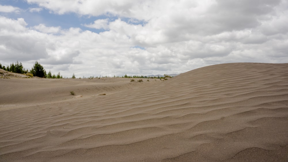 a sandy area with trees in the distance