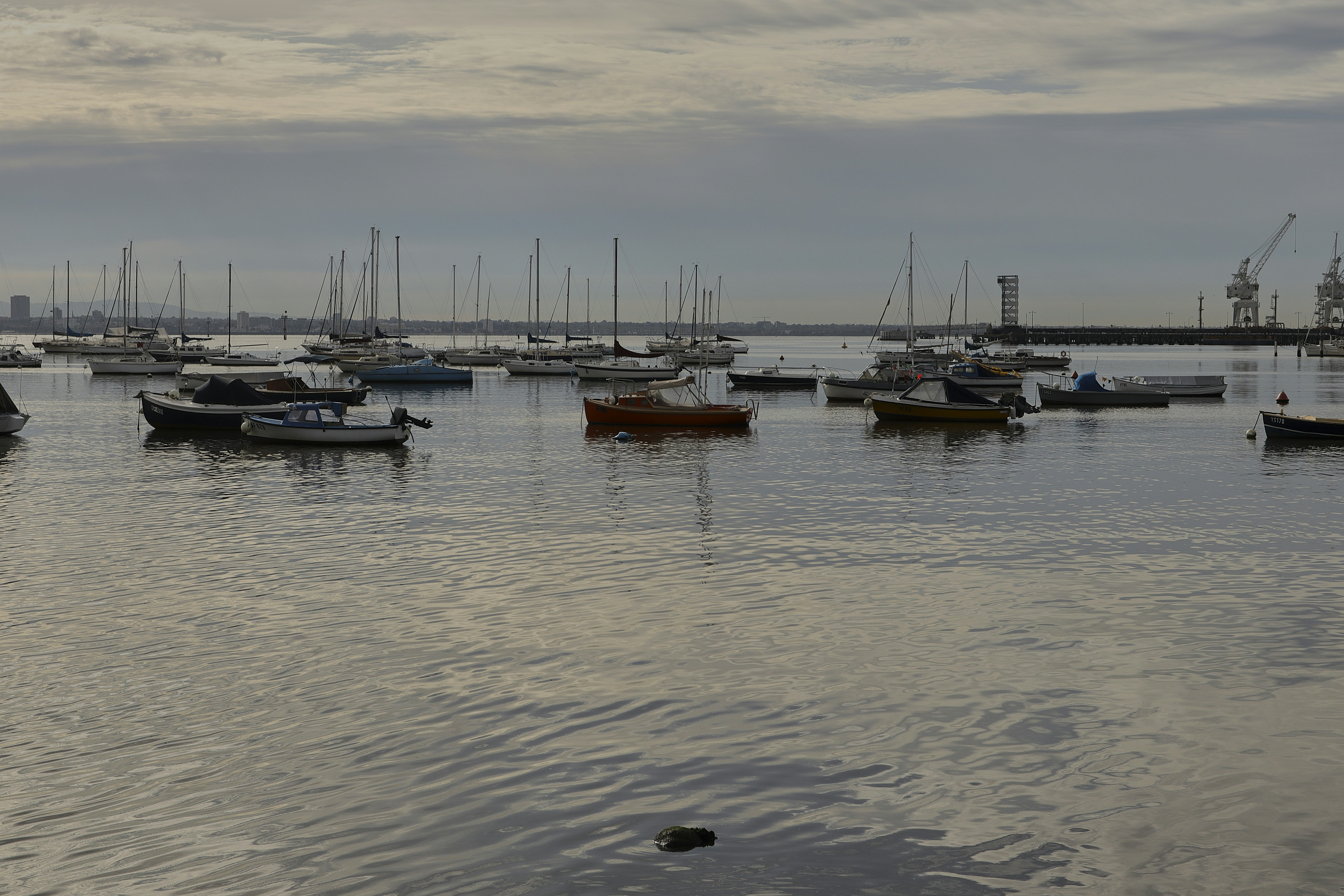 Photo by stewartphotography