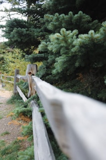 a wooden fence with a snake from it