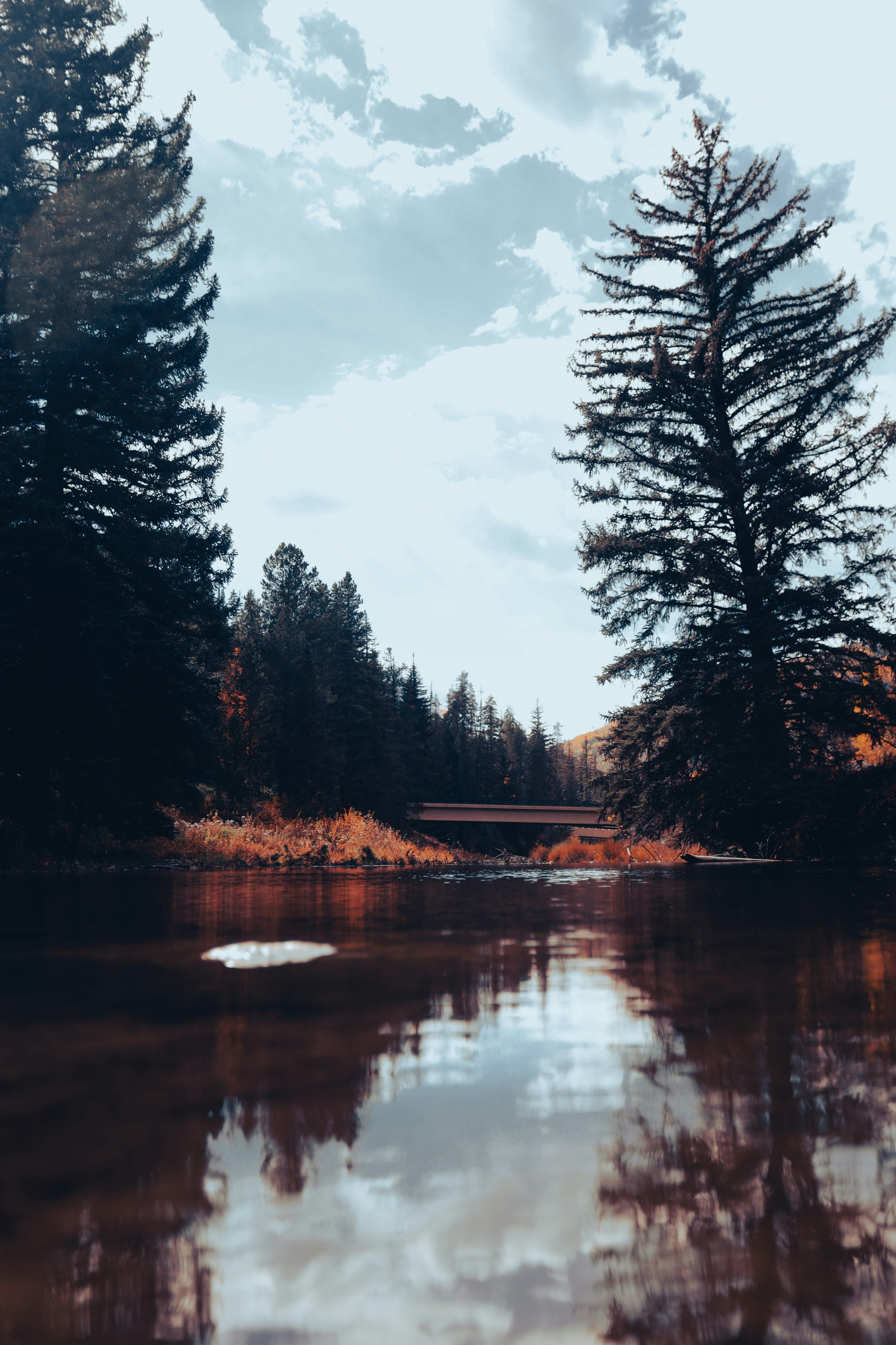 Photo by fergilicious_photos