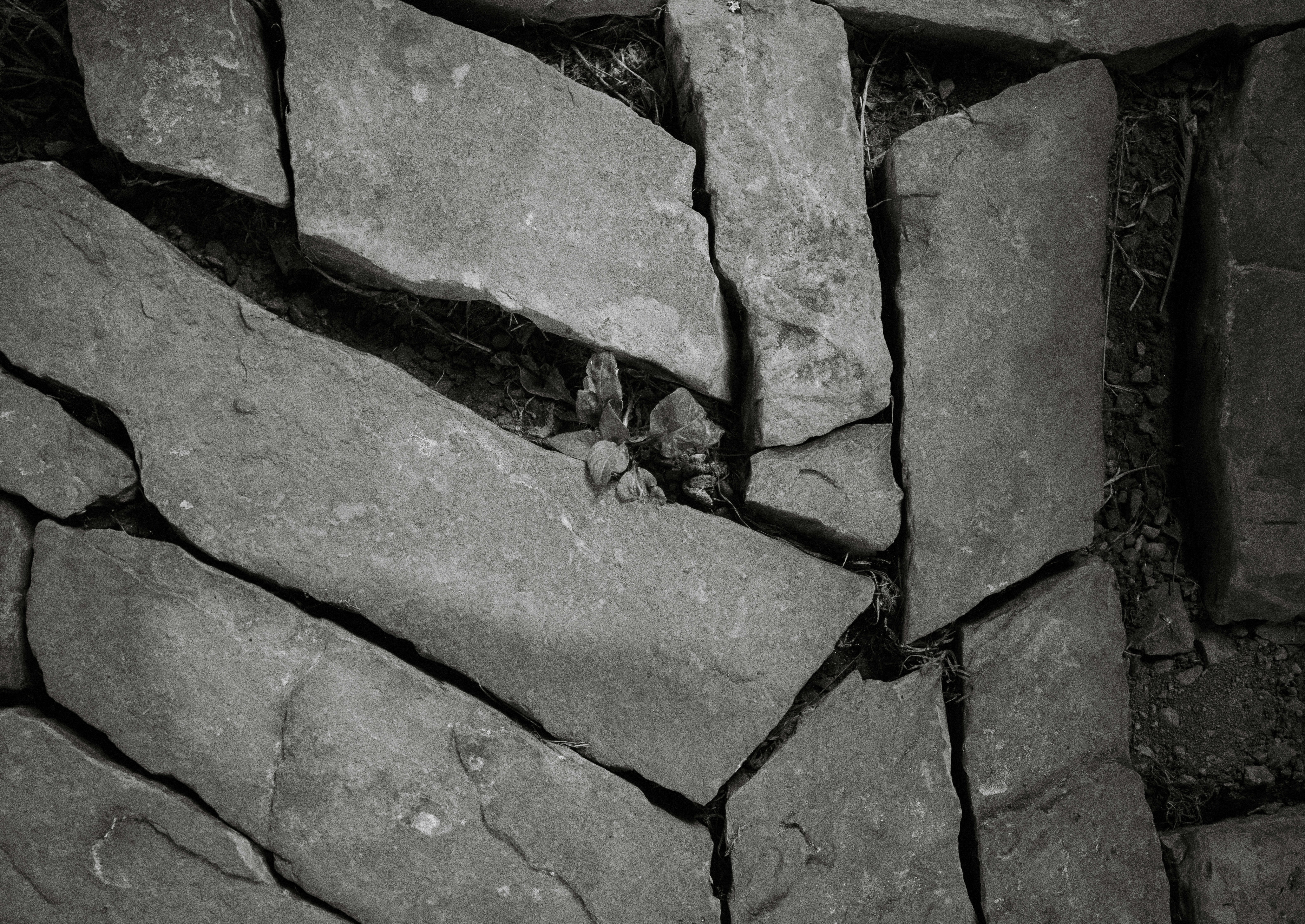 Photo by fergilicious_photos