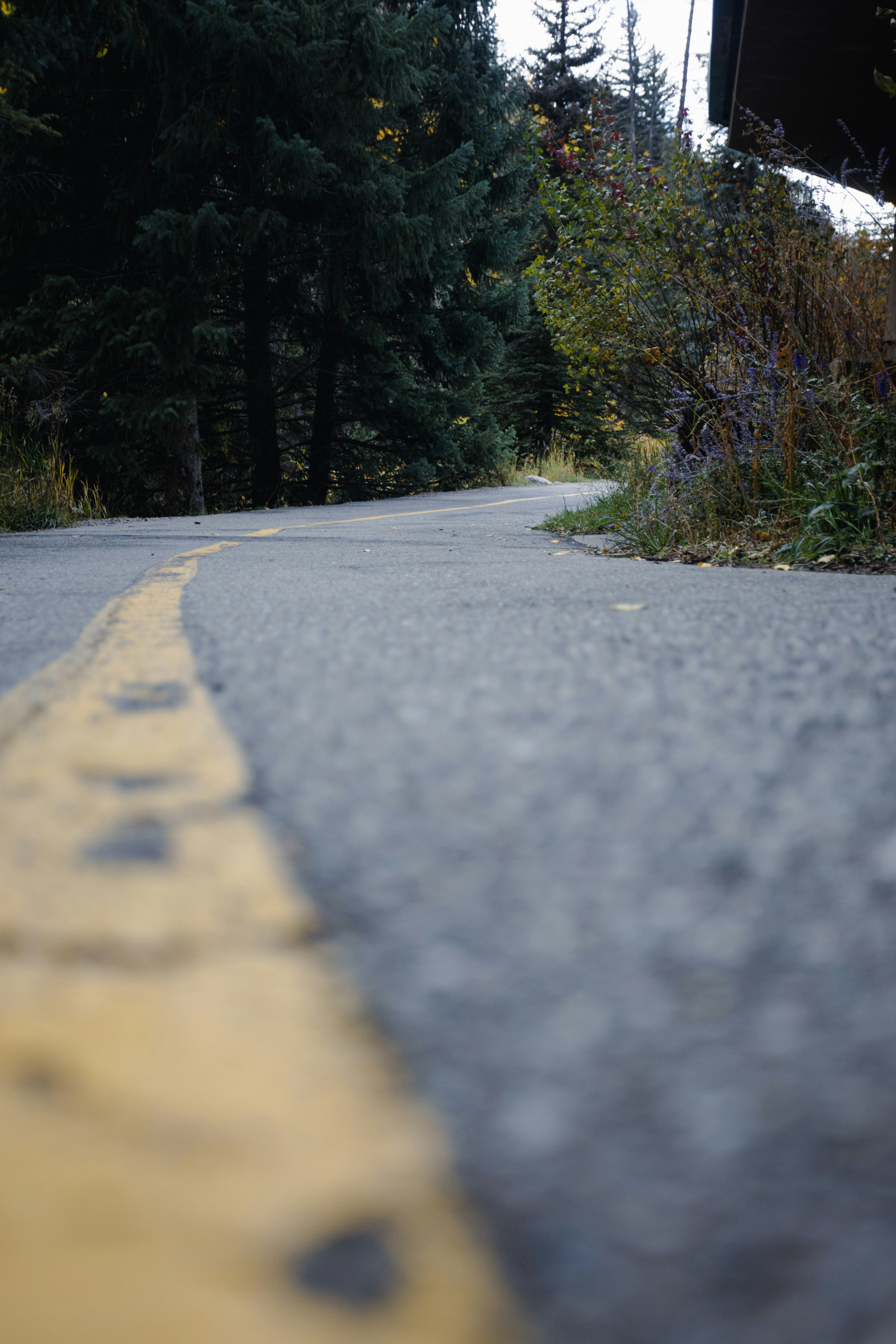 Photo by fergilicious_photos