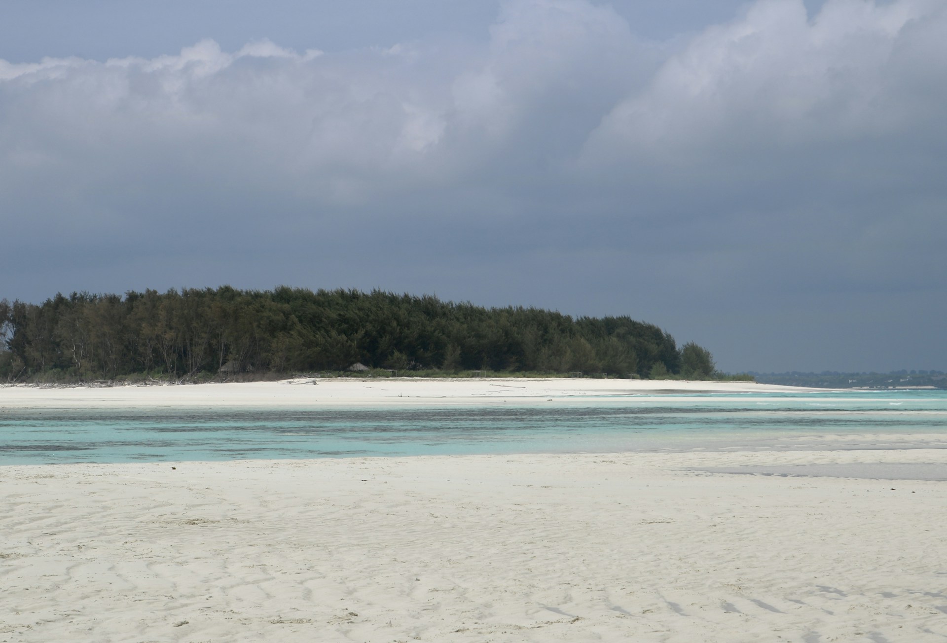 a beach with a body of water and trees in the background