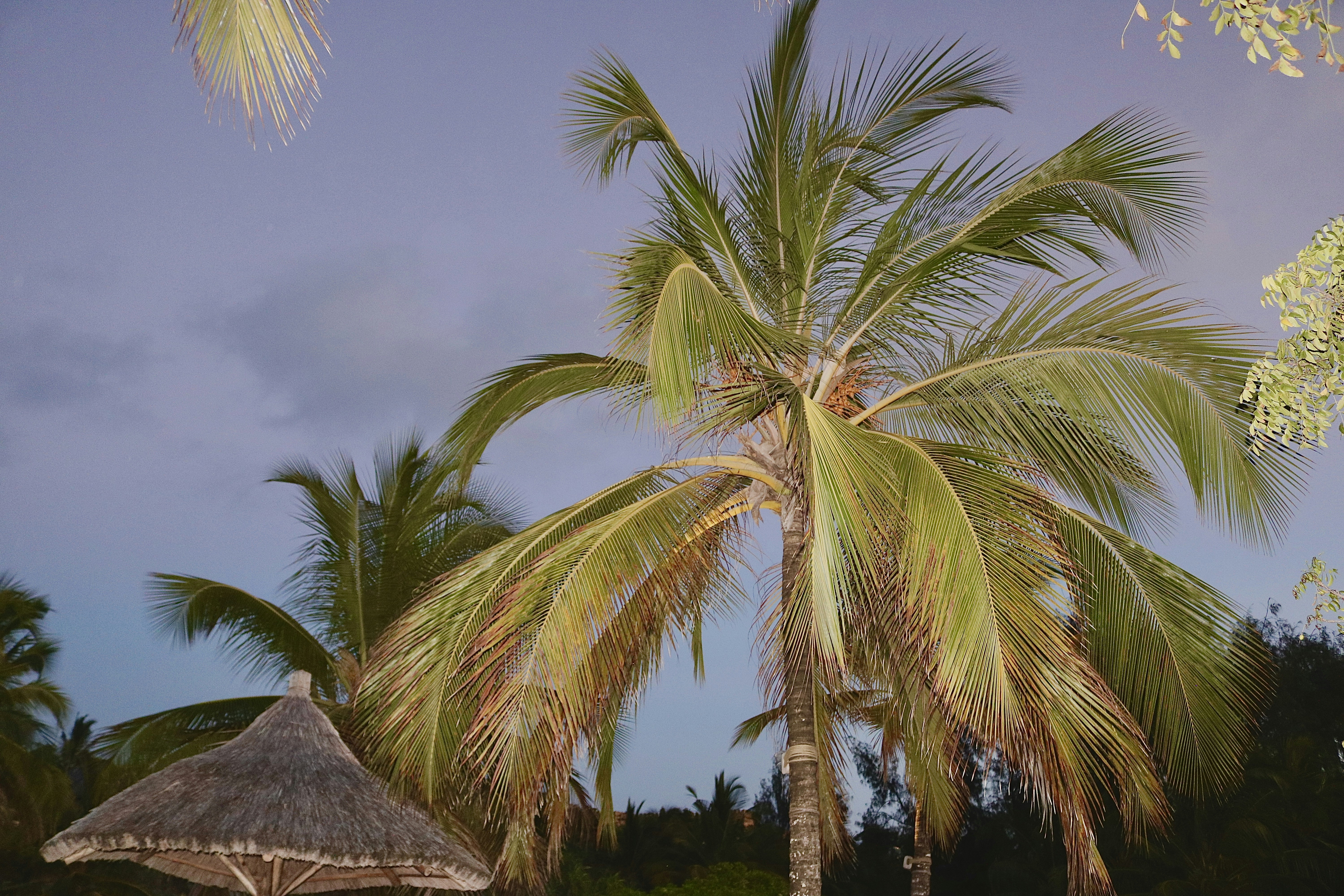 Photo by danaetsoutreli