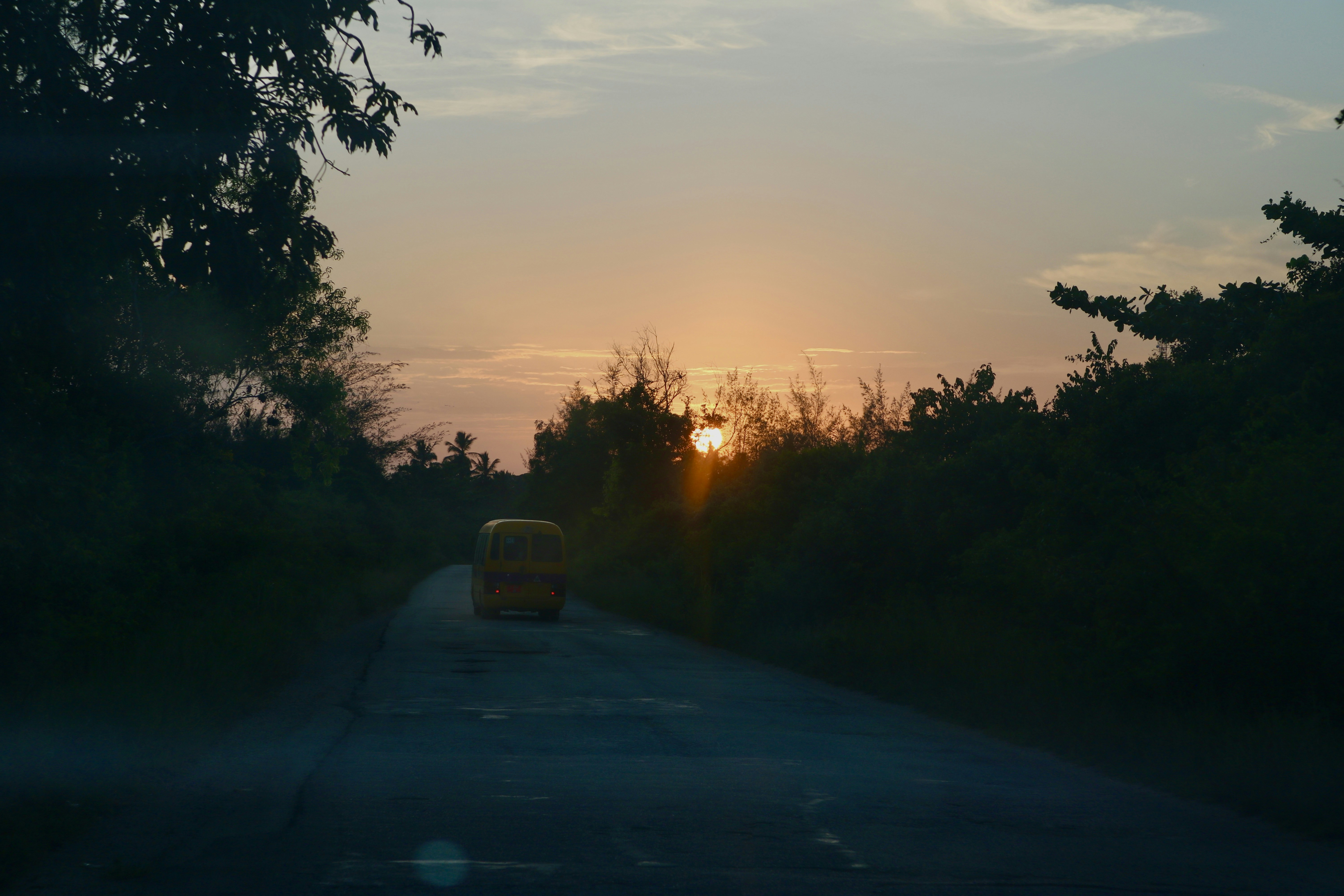 a yellow car on a road with trees on either side of it