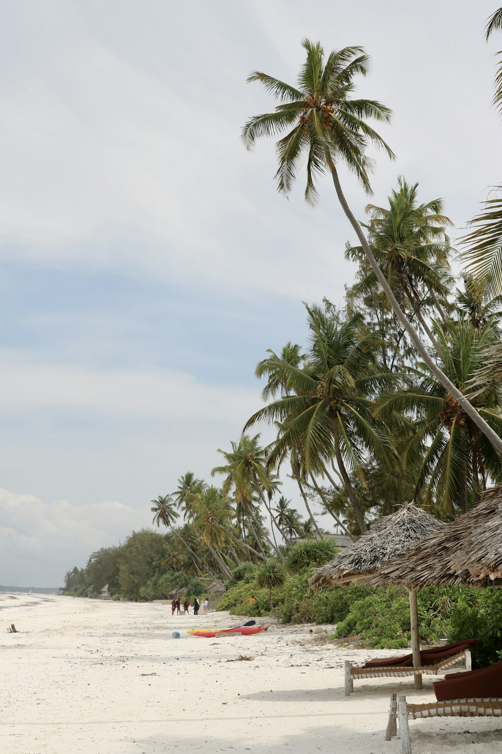 a beach with palm trees and a hut