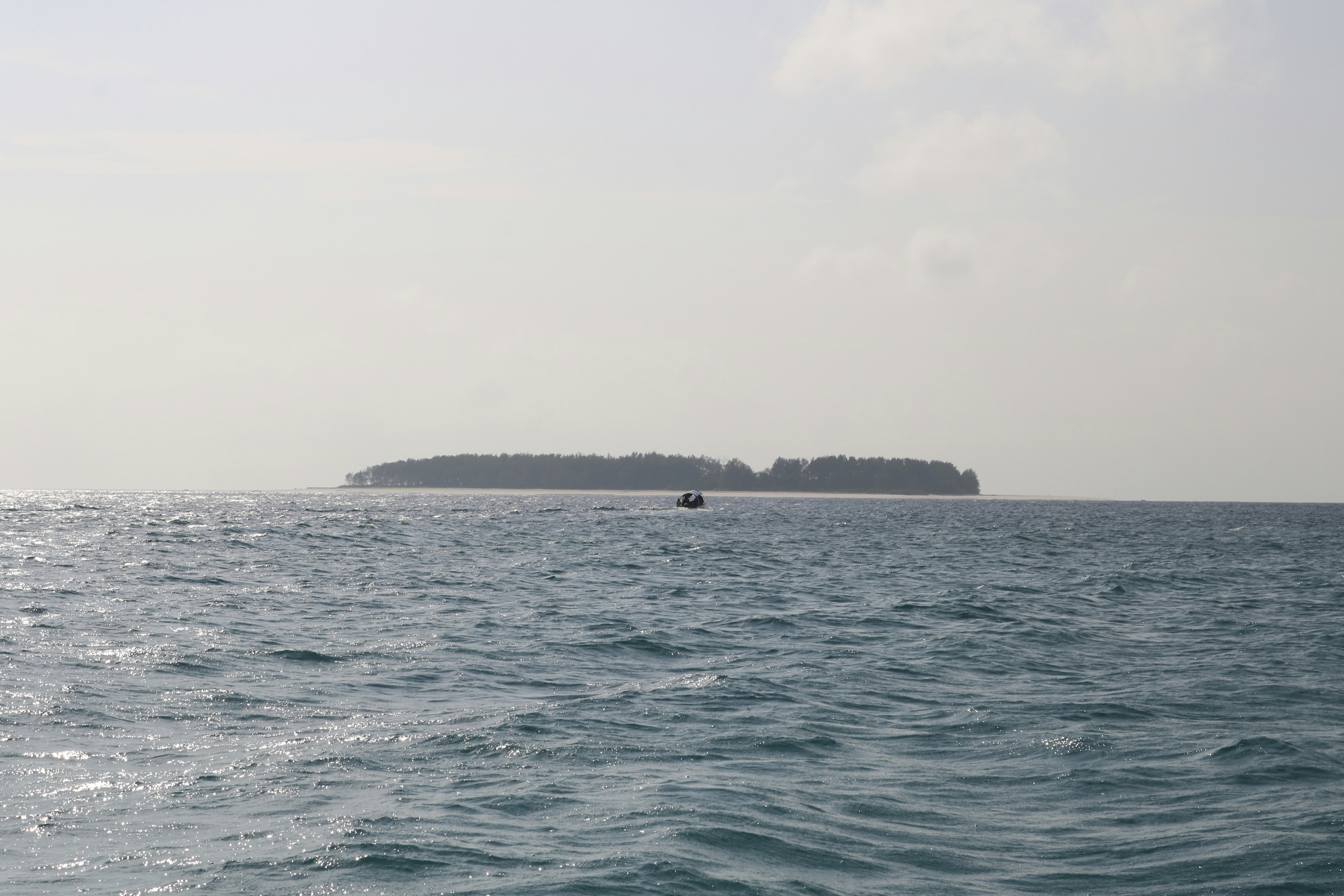 Photo by danaetsoutreli