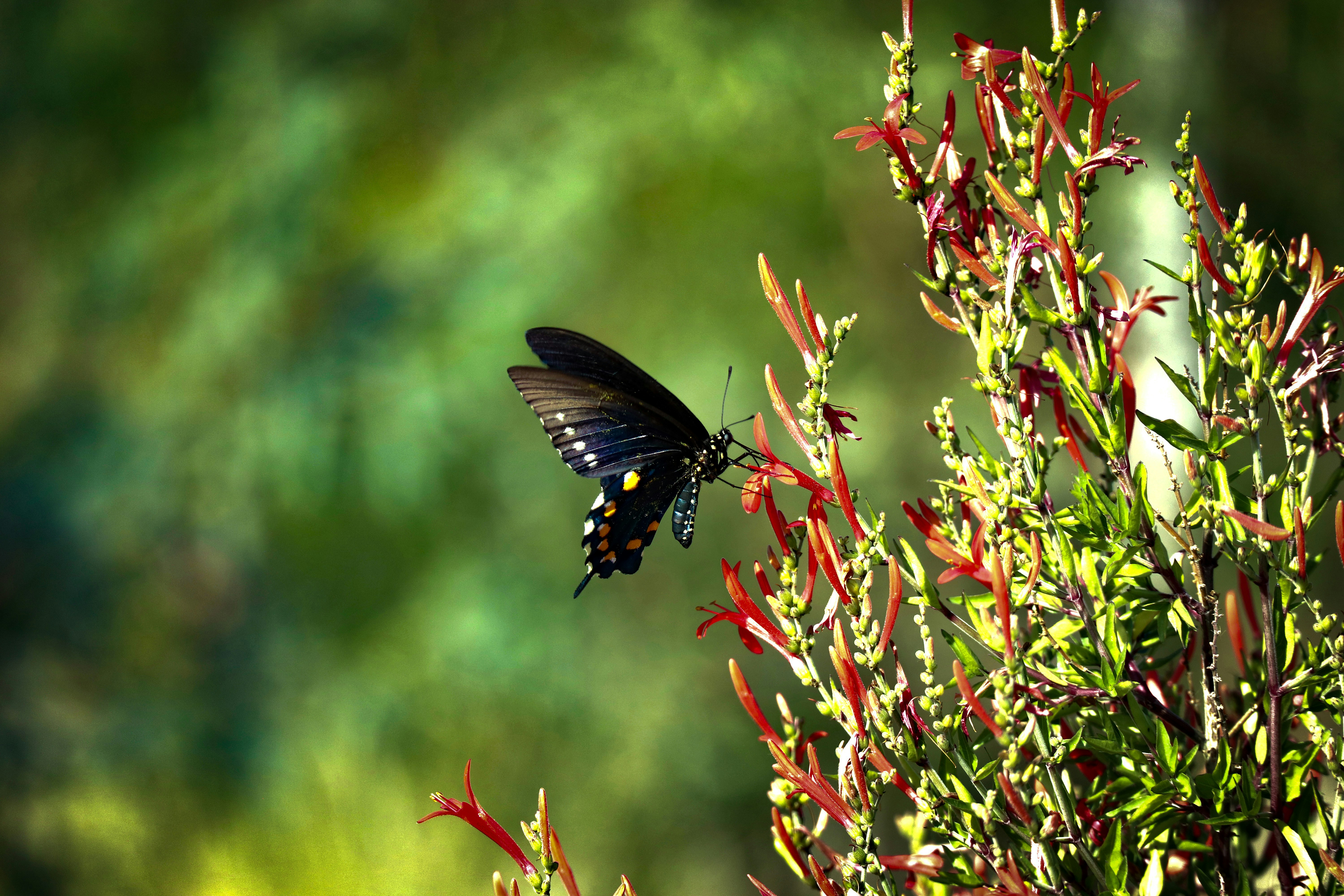 Photo by jcnonstop87