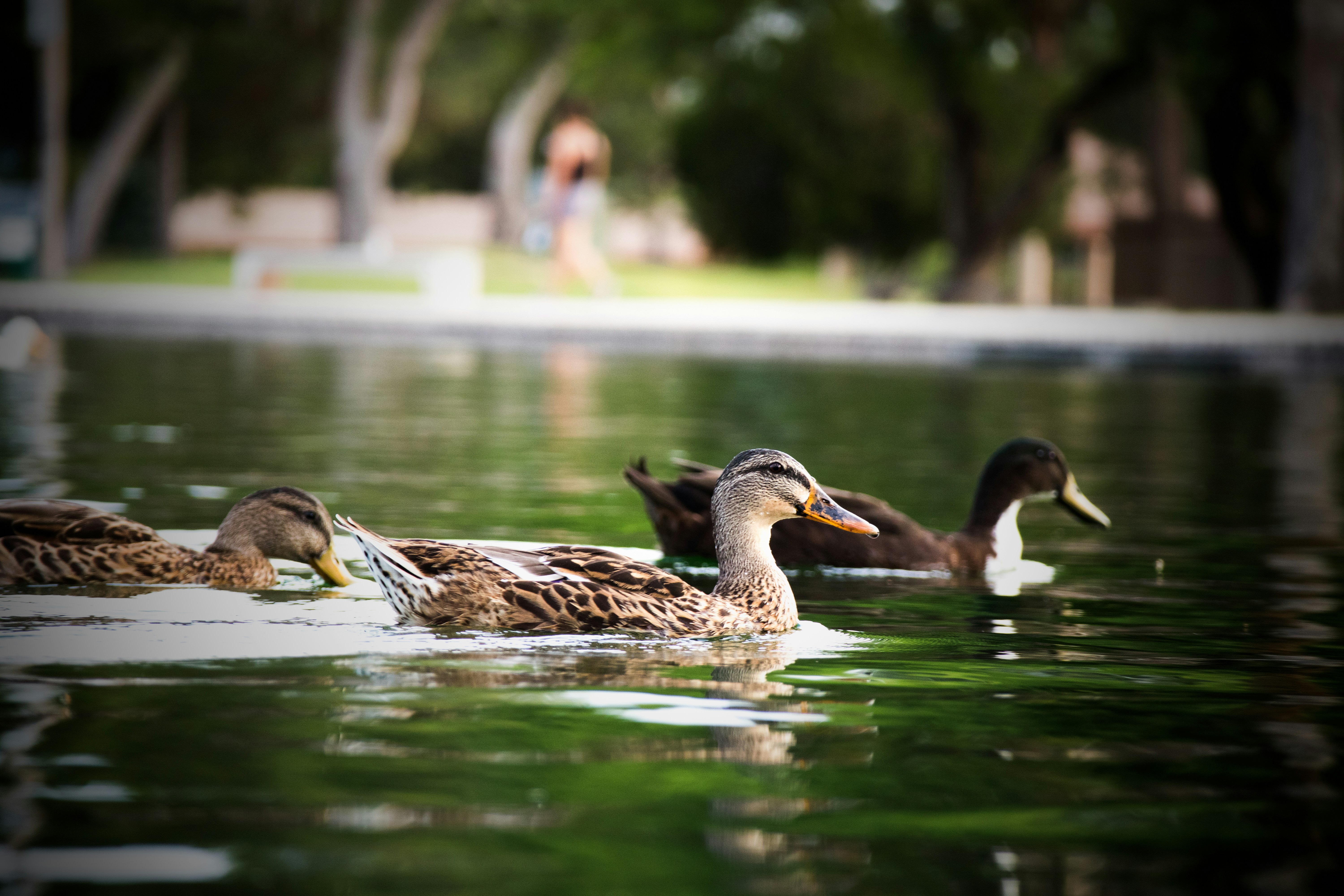 Photo by jcnonstop87