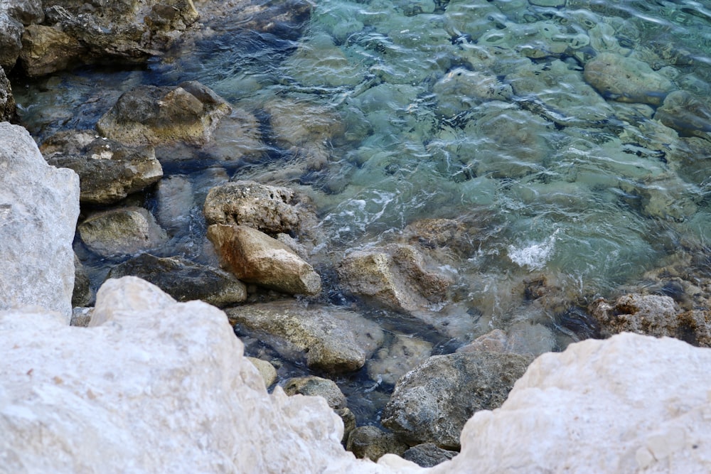 a river with rocks and water