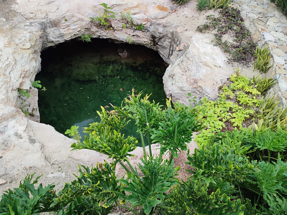 uma pequena lagoa em um túnel de pedra