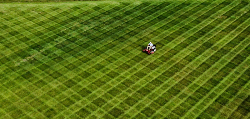 Person mowing a lush green lawn