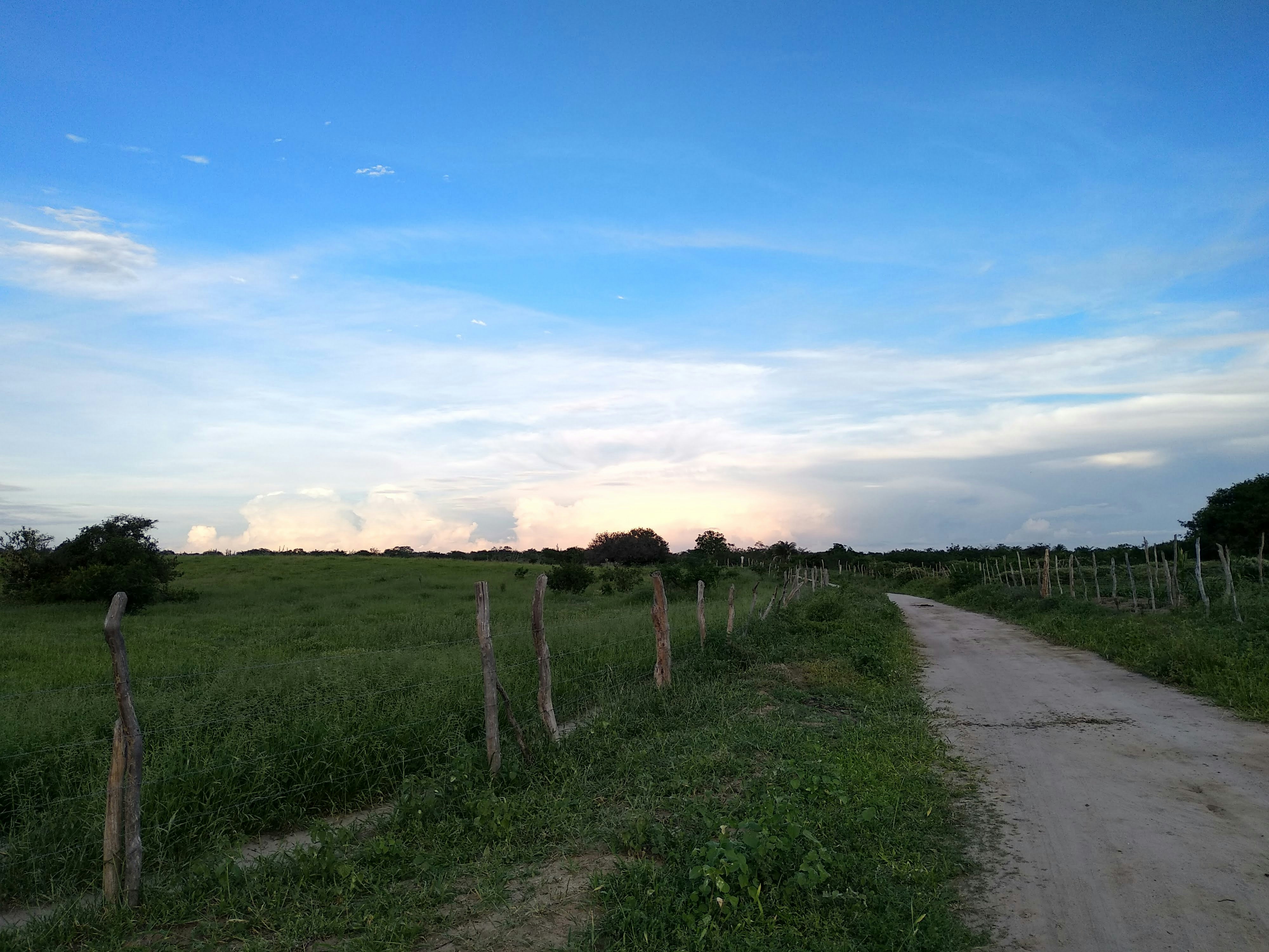 Chiparia 67