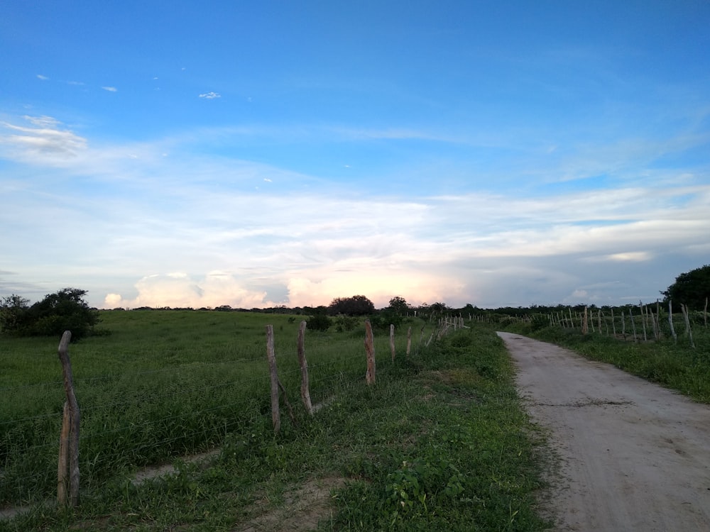 a fenced off road with a dirt road and grass and trees