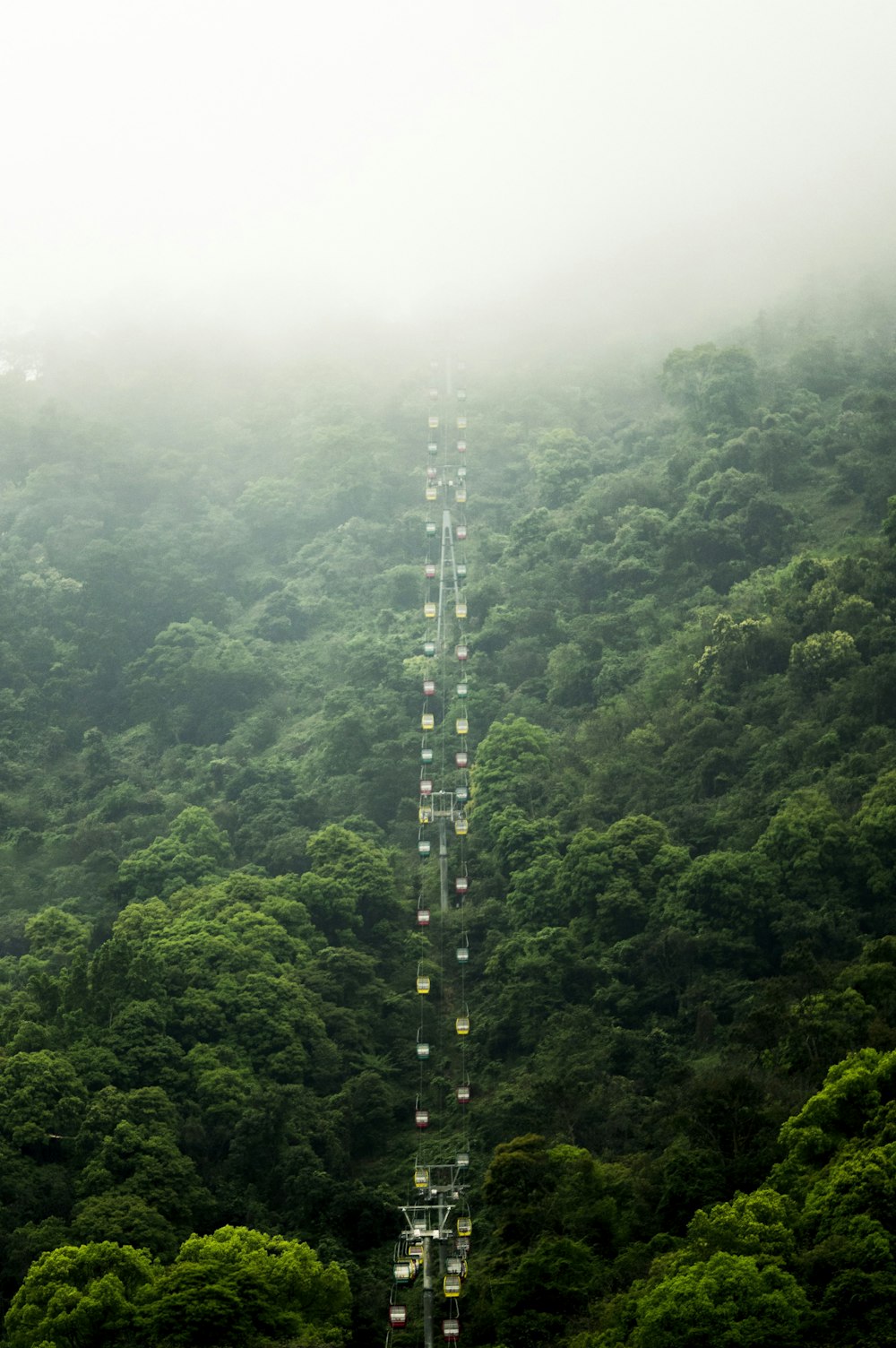 a tall tower in the middle of a forest