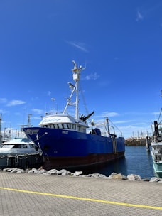A large blue fishing vessel is docked at a harbor under a clear blue sky. The ship has a white upper deck and various equipment on board, with other boats visible in the background. The dock is bordered by a stone edge and a paved walkway with a yellow line.