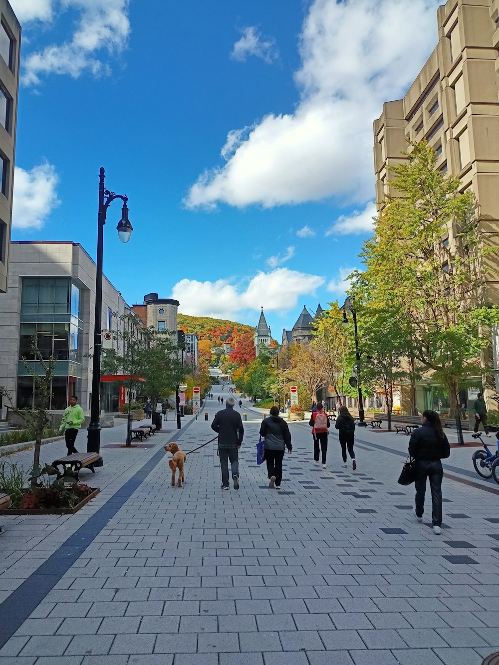 people walking on a brick road