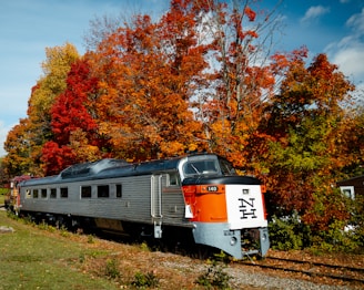 a train on the railway tracks