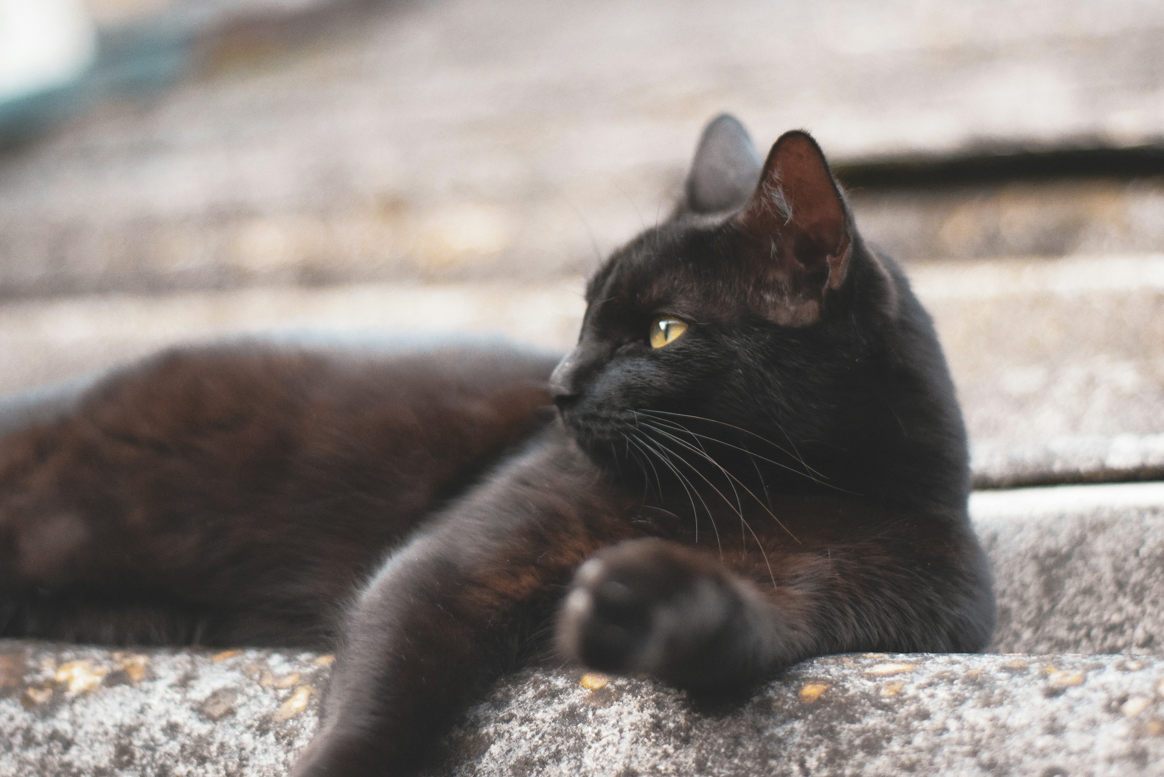 Photo by cherrycomplexes