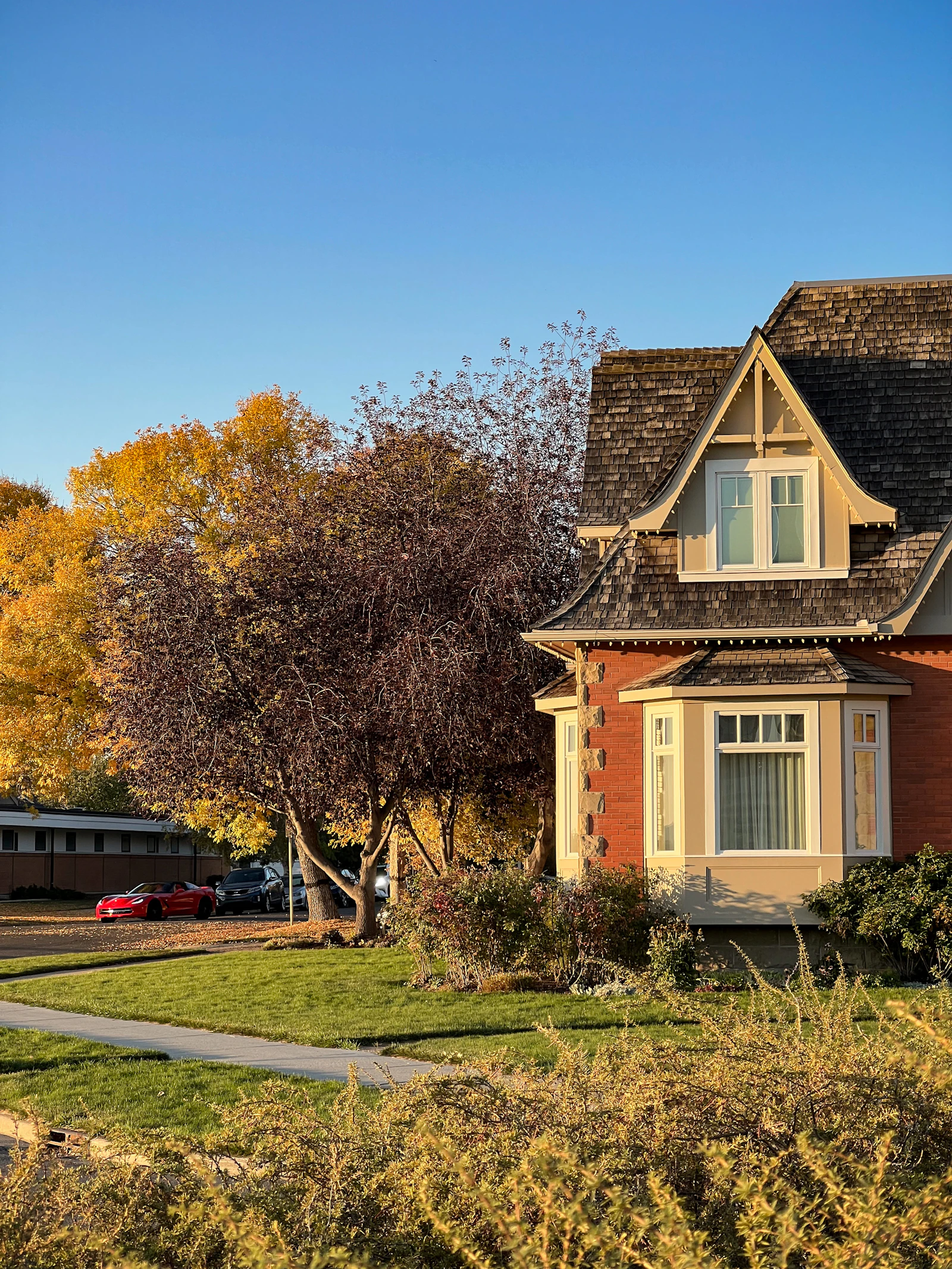 A detached Calgary home with a driveway, framed by bare trees on a crisp autumn day