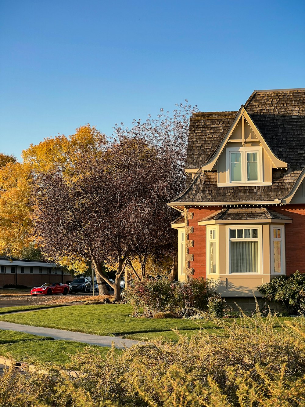 a house with a driveway and trees