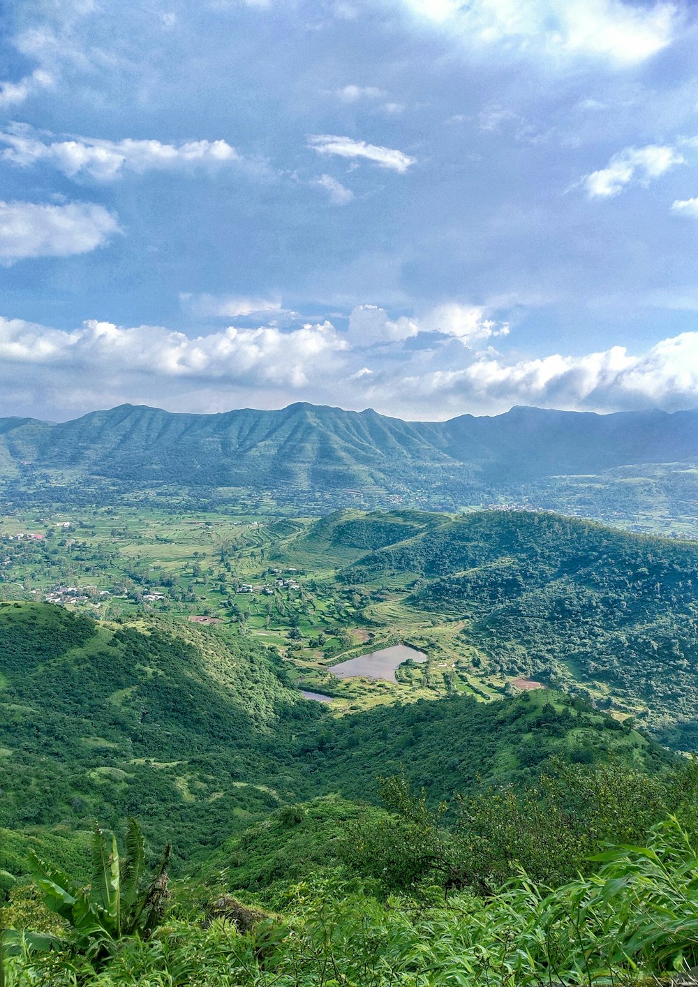 a landscape with trees and mountains