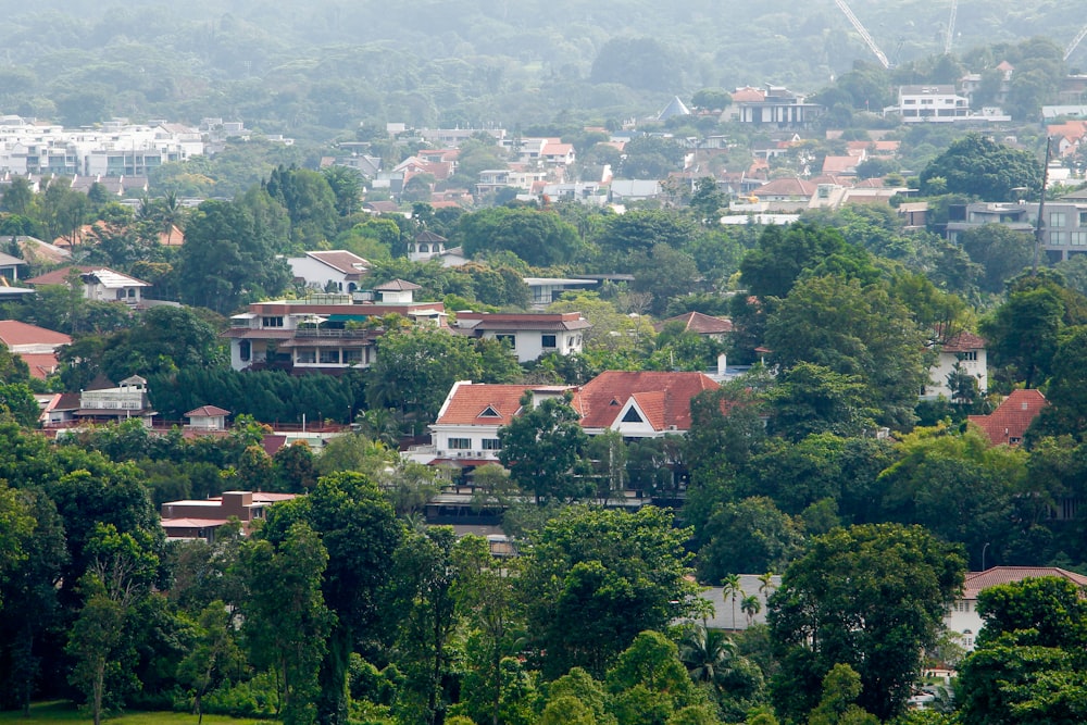 a group of houses in a wooded area