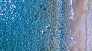 a group of people swimming in the ocean
