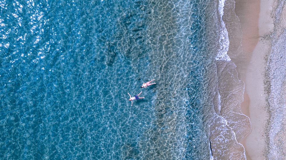 a group of people swimming in the ocean