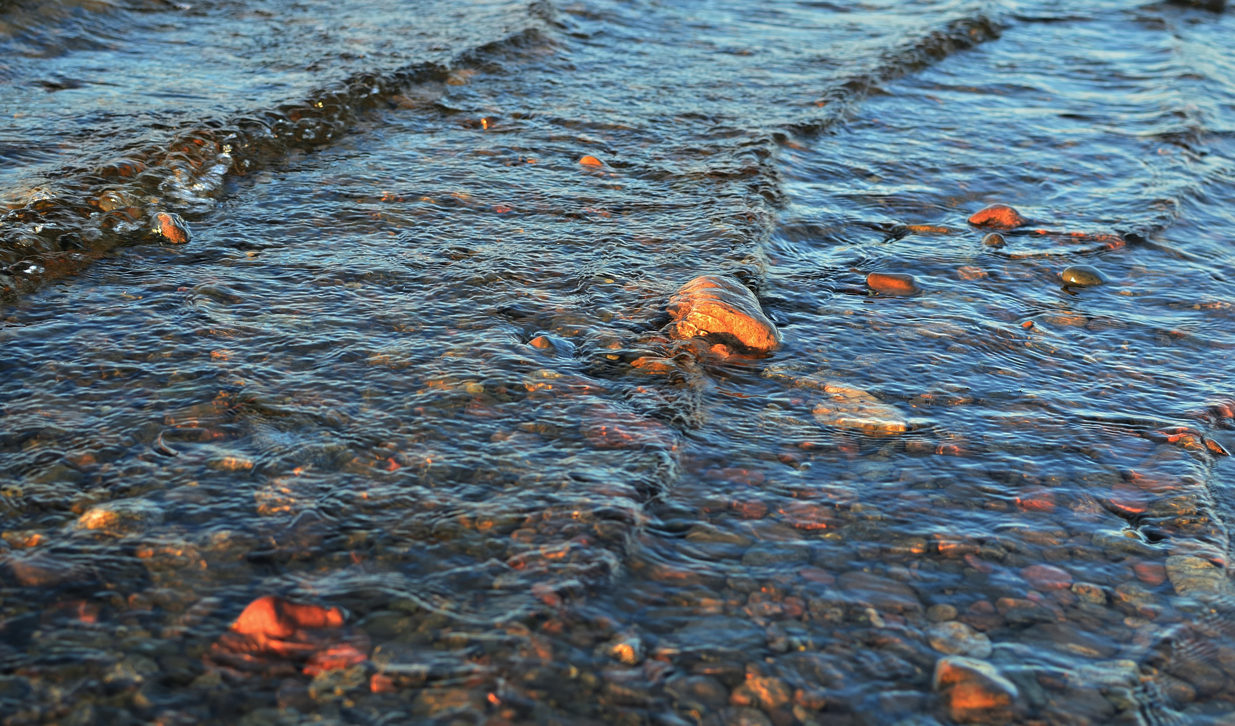 Seasonal Water Quality Variations (image credits: unsplash)