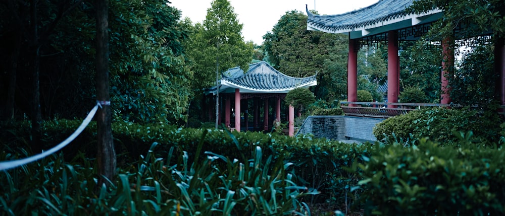 a building with a roof surrounded by plants and trees