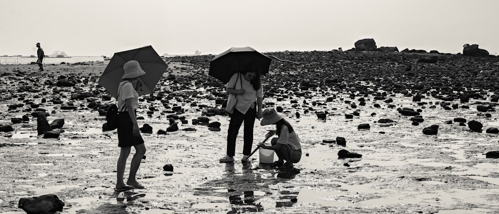 personnes avec des parasols sur la plage