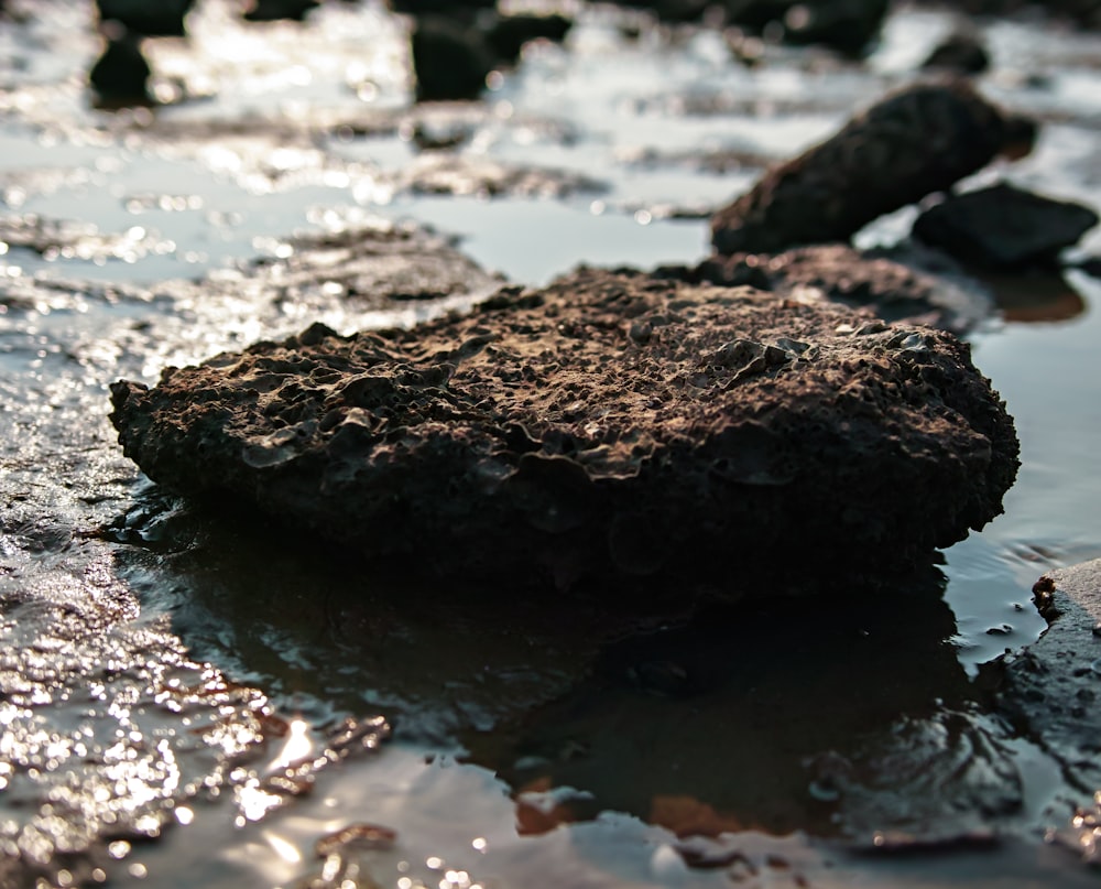 a rock on the ground