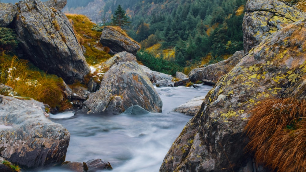 a river flowing through a rocky area