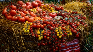 a pile of tomatoes