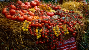 a pile of tomatoes