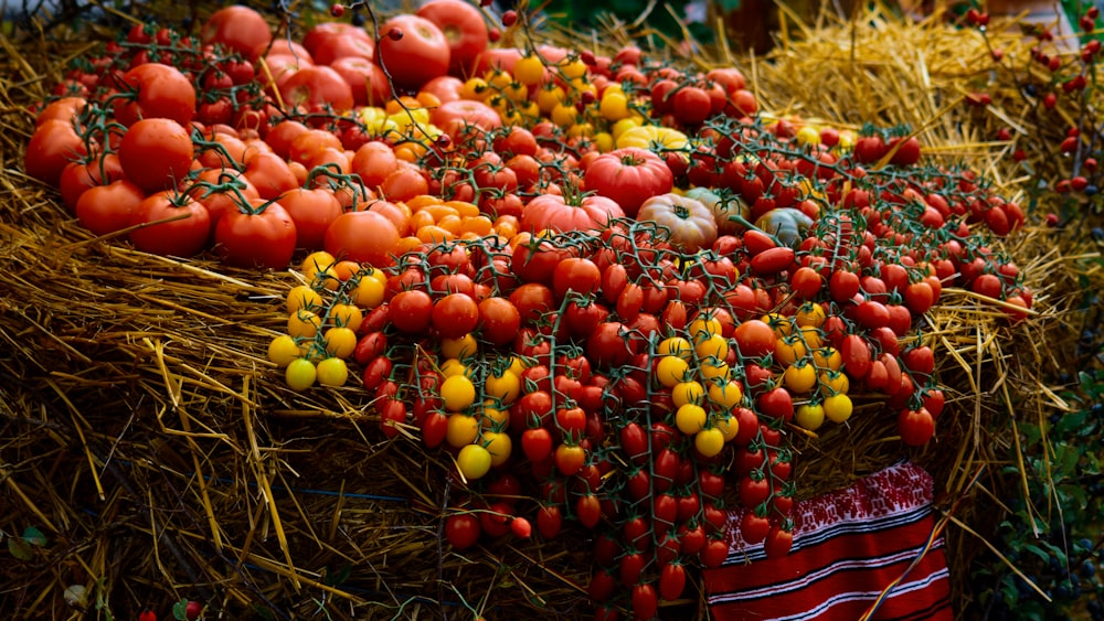 a pile of tomatoes