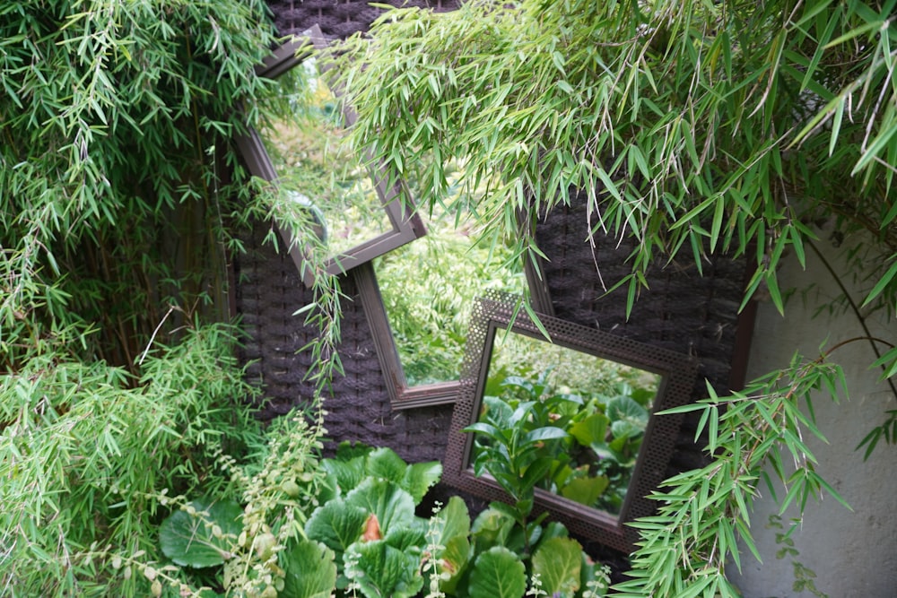 a garden with a small bridge