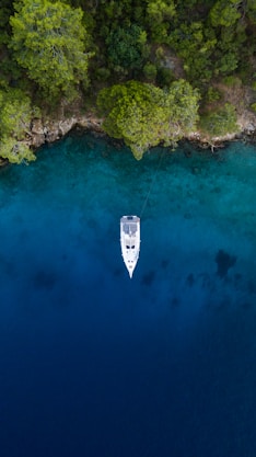 a boat in the water