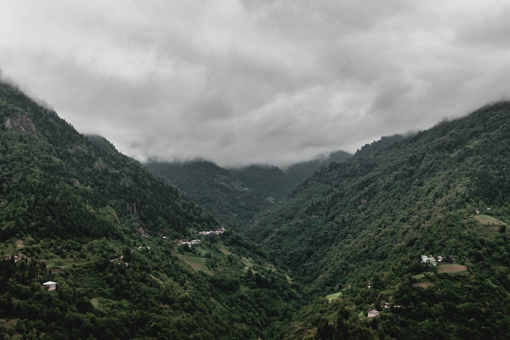 a valley with trees and buildings