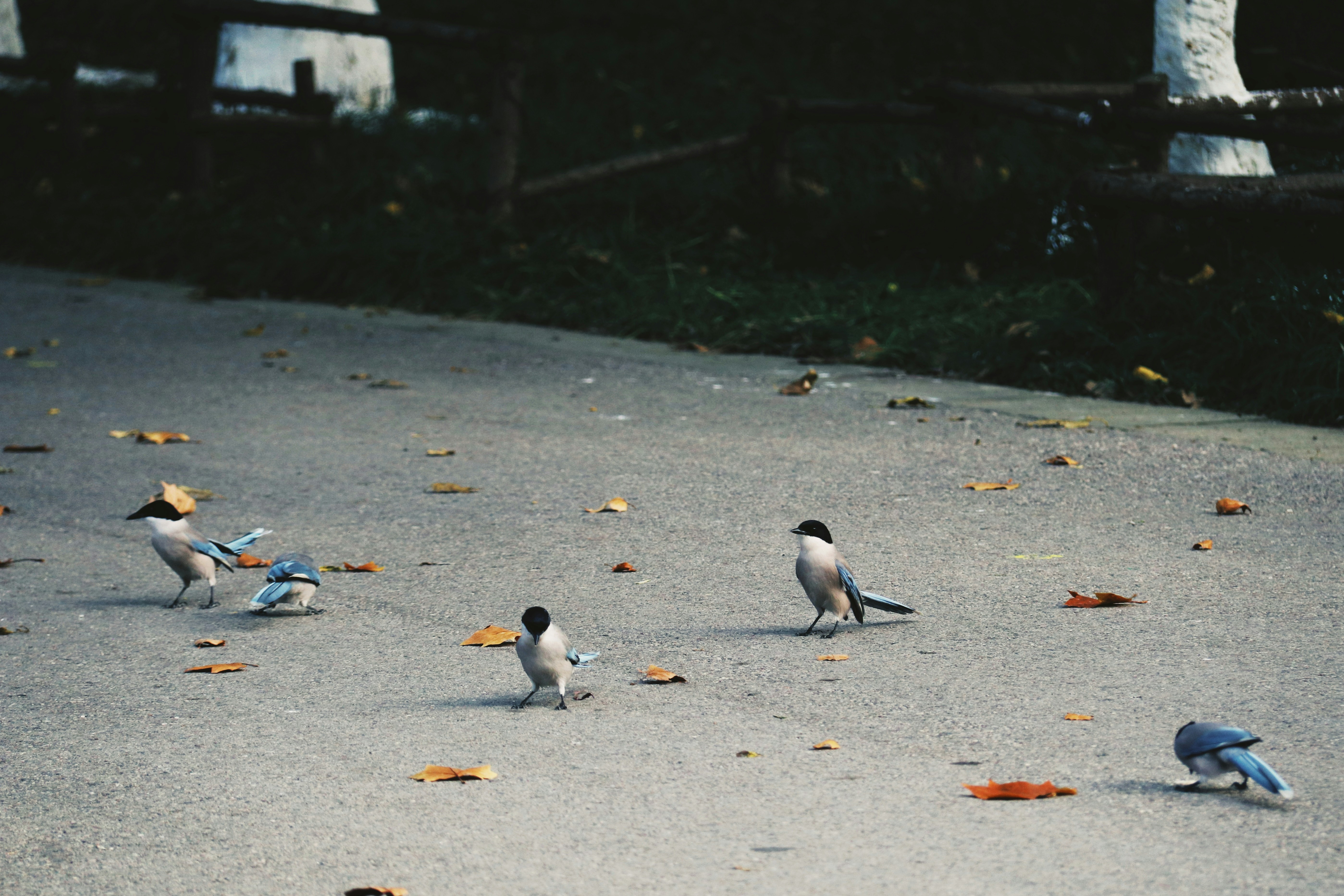Photo by wadawn