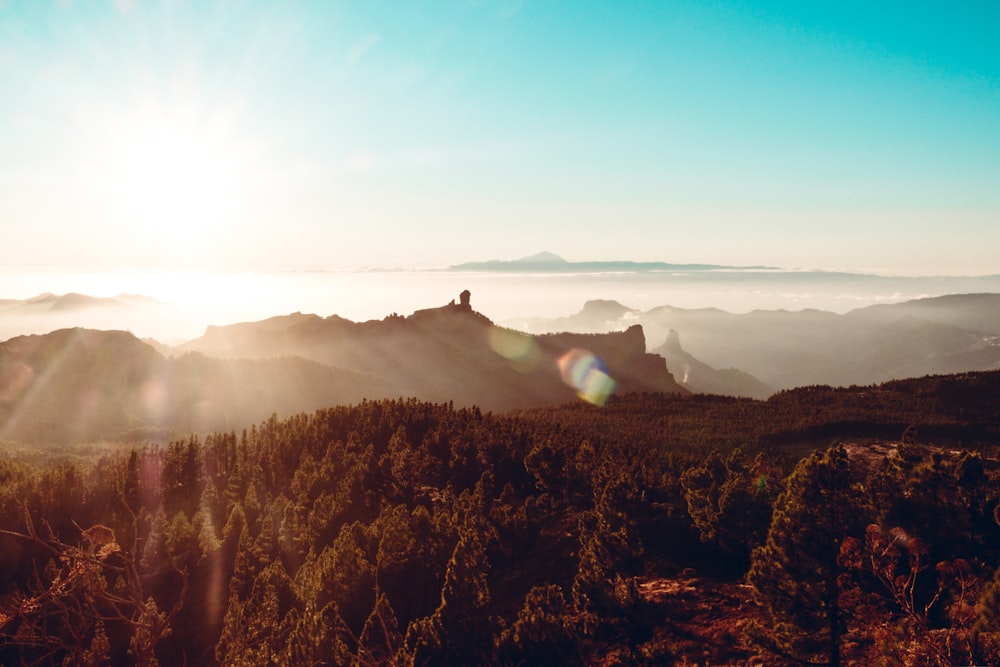 Una vista de un bosque y el sol sobre las nubes