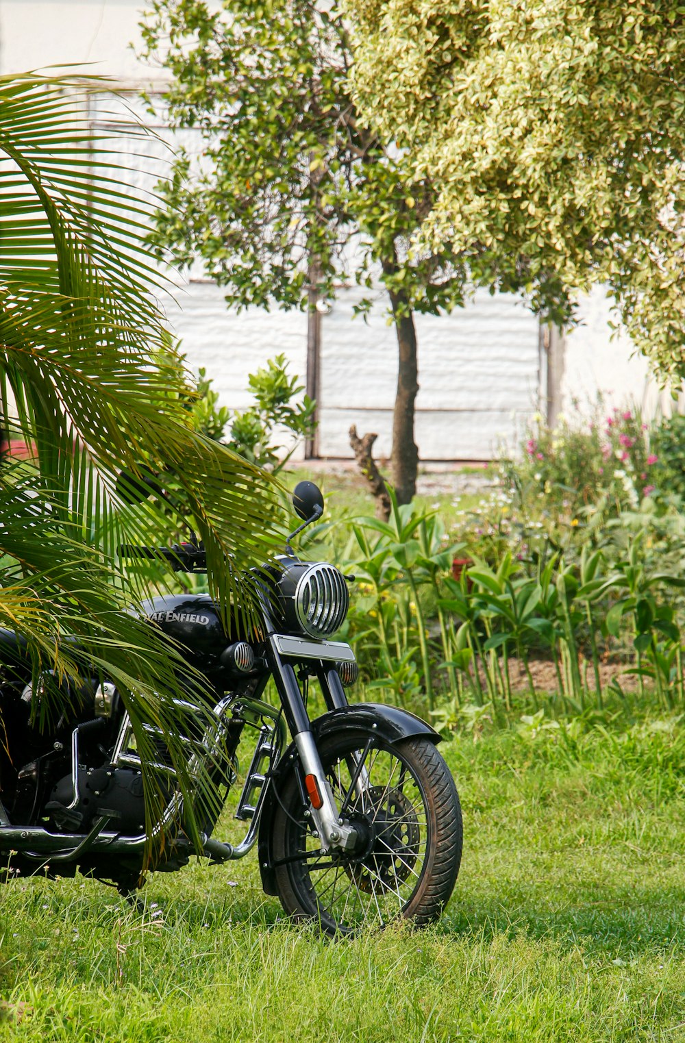 a motorcycle parked in a grassy area