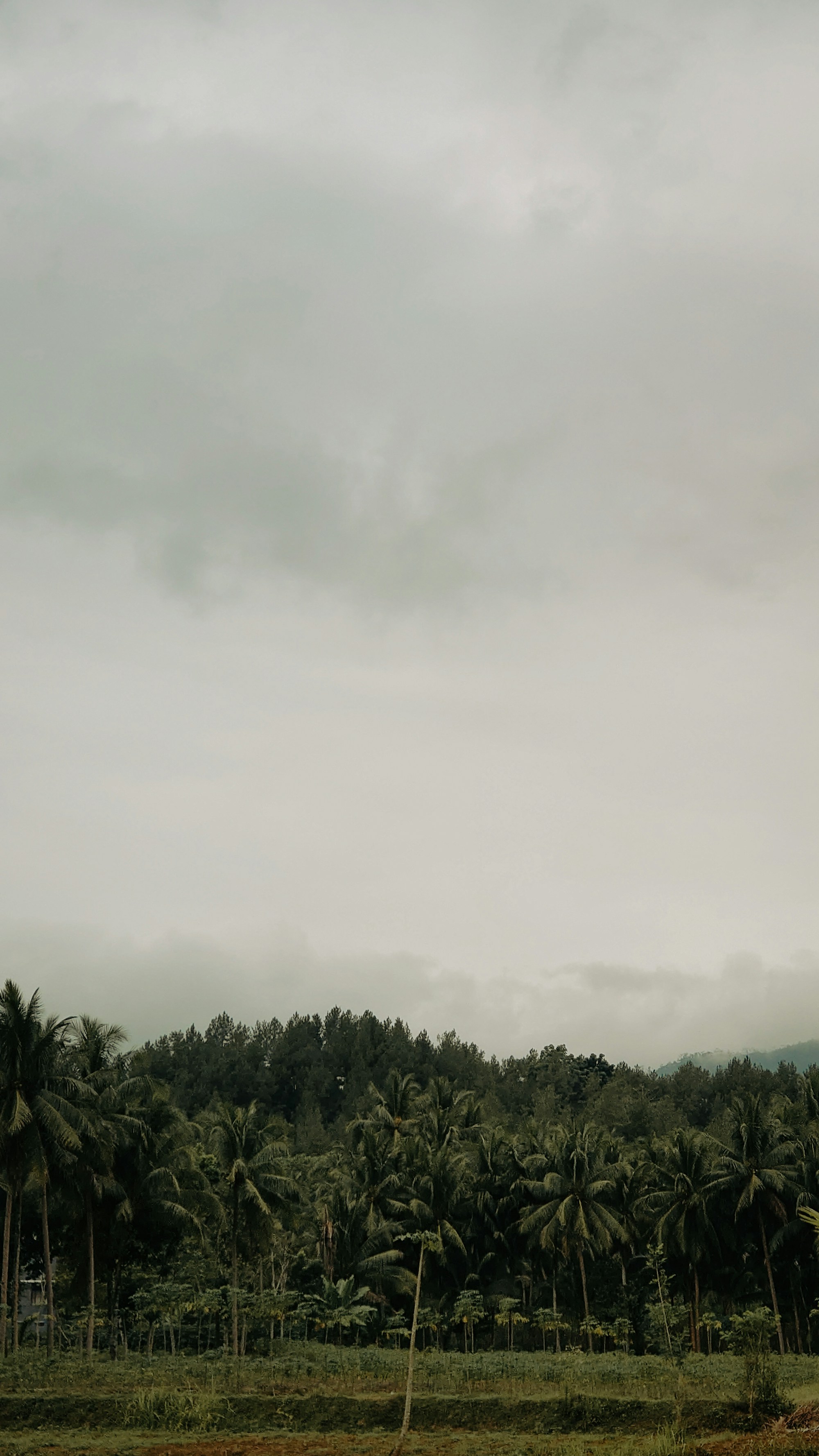 What to See in Magelang: Travel Guide
